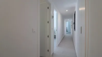 Chalet in Algorfa photo 12