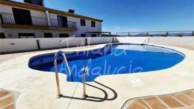 Apartment in Alcaucín photo 13