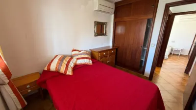 Apartment in Cabo Roig-La Zenia-La Regia photo 17