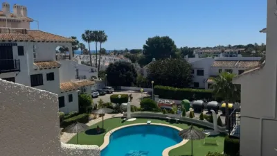 Apartment in Cabo Roig-La Zenia-La Regia photo 30