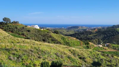 Villa in La Cala Golf-Lagar Martell photo 6