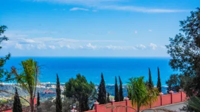 Apartment in La Mairena photo 36