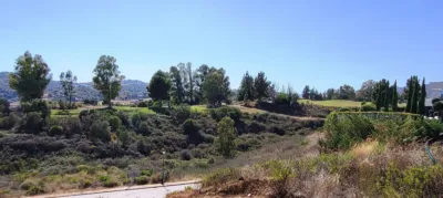 Villa in La Cala Golf-Lagar Martell photo 22