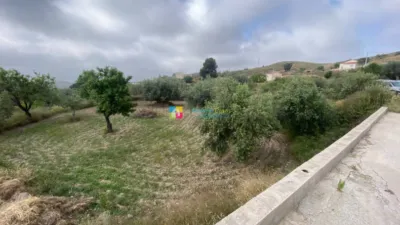 Rustic Finca in Albox photo 22
