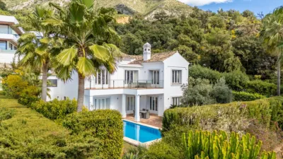Villa in Istán photo 3