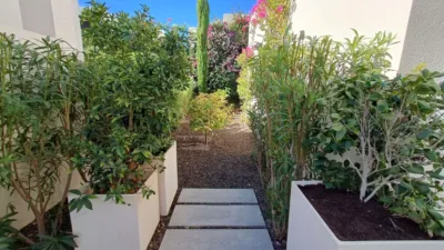 House in Algorfa photo 41