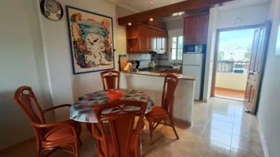 Pis – Orihuela, Villa Martín - Més