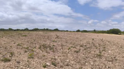 Terreno en venta en El Pinós - Pinoso - Vista 5
