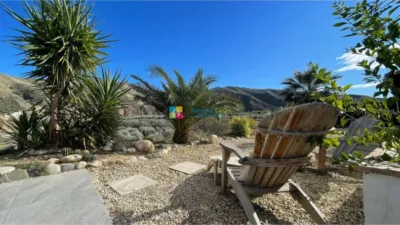 Rustic Finca in Almanzora photo 4