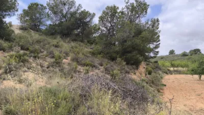 Terreno en venta en El Pinós - Pinoso - Vista 3