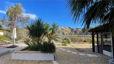 Rustic Finca in Almanzora photo 5