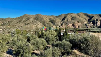 Rustic Finca in Almanzora photo 10