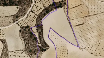 Terreno en venta en El Pinós - Pinoso - Vista 2