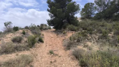 Terreno en venta en El Pinós - Pinoso - Vista 4