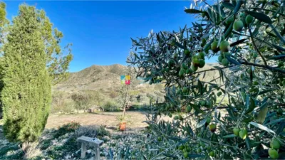 Rustic Finca in Almanzora photo 9