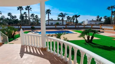 Finca rústica en venta en Catral - Vista 4