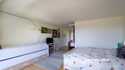 House in Anchuela del Campo photo 14
