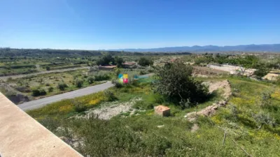 Rustic Finca in Albox photo 45