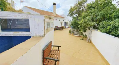 Rustic Finca in Almáchar photo 2