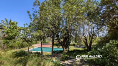 House in Anchuela del Campo photo 17