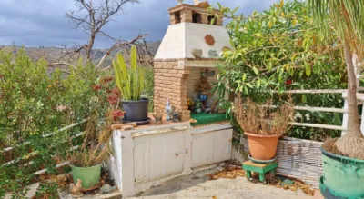 Rustic Finca in Almáchar photo 8