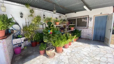 Rustic Finca in Albox photo 39