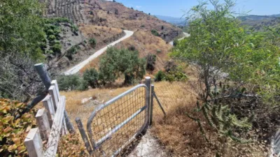 Rustic Finca in Almáchar photo 29