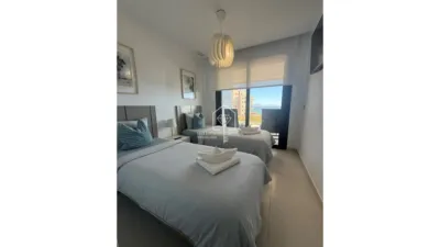 Apartment in Los Arenales del Sol photo 13