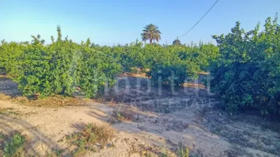 Terreno en venta en los Montesinos - Vista 4