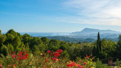 Casa - Vista 2