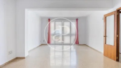 Apartment in La Petxina photo 2