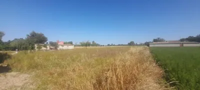 Casa – Dolores - Més