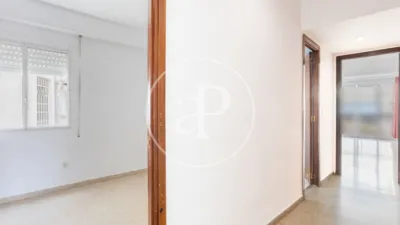 Apartment in La Petxina photo 9