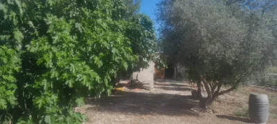Casa – Dolores - Vista 3