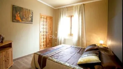 House in Canuta photo 15