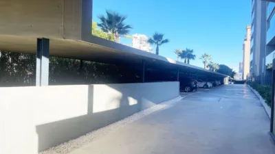 Apartamento en Playa del Arenal Bol-Playa del Cantal Roig photo 6