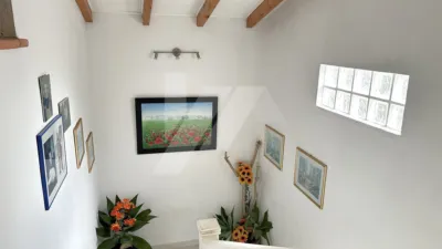 House in Cala Advocat-Baladrar photo 10