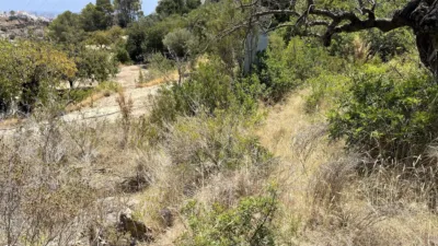 Terreno en venta en Casco Antiguo - Vista 5