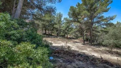 Terreno en venta en Núcleo - Vista 5