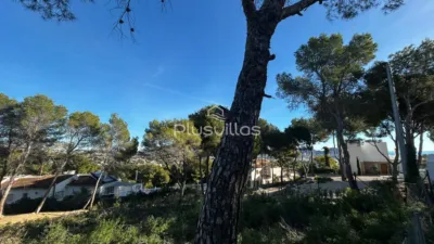 Terreno en venta en Benimeit-La Sabatera - Vista 5