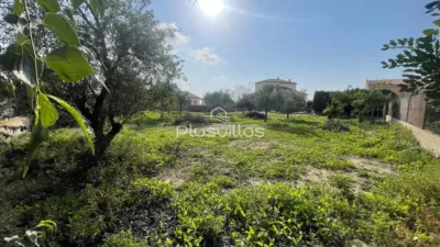 Terreno en venta en Las Adelfas-Benicolada-Garduix - Vista 3