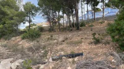 Terreno en venta en Casco Antiguo - Vista 2