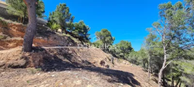 Terreno en venta en Oltamar-Cucarres - Más