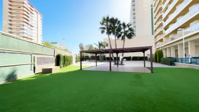 Apartment in Playa de Levante or La Fossa photo 19