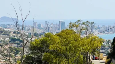 Terreno en venta en Casco Antiguo - Vista 3