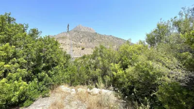 Terreno en venta en Casco Antiguo - Més