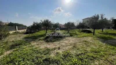 Terreno en venta en Las Adelfas-Benicolada-Garduix - Vista 4