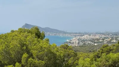 Apartamento en Mascarat photo 8