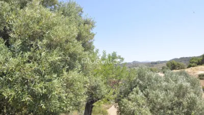 House in Benissa Pueblo photo 65