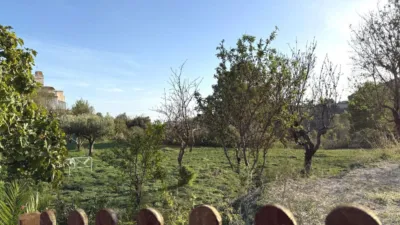 House in Las Adelfas-Benicolada-Garduix photo 31